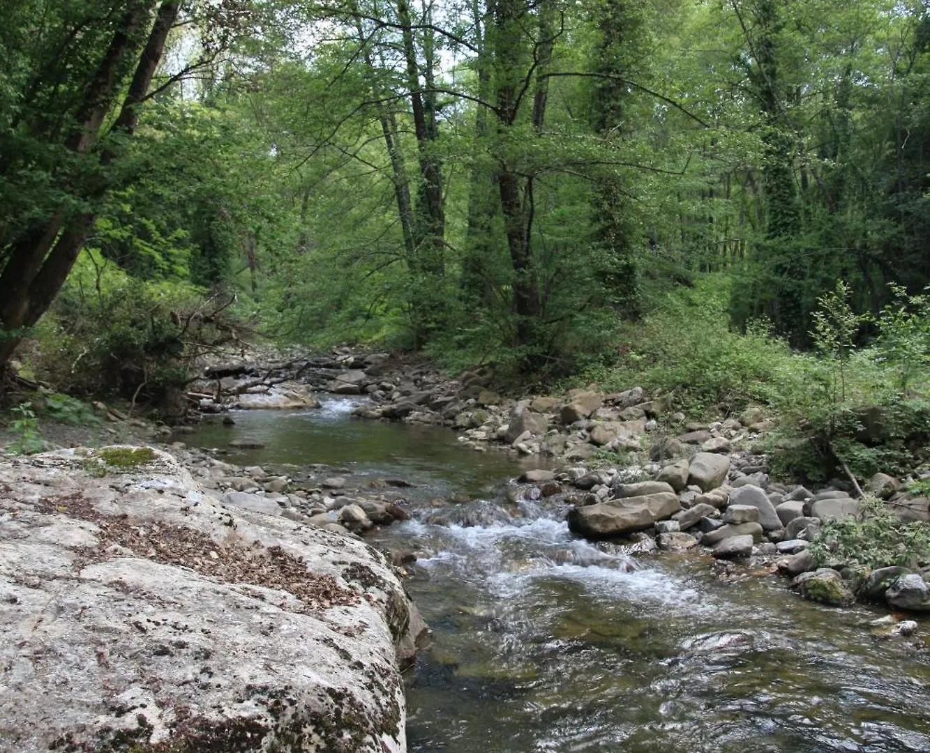 Wild Toscana Eco Villa Arcidosso