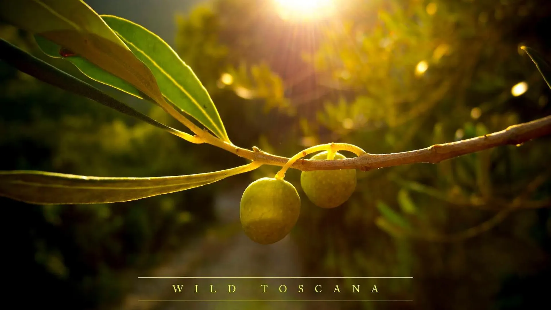Wild Toscana Eco Villa Arcidosso