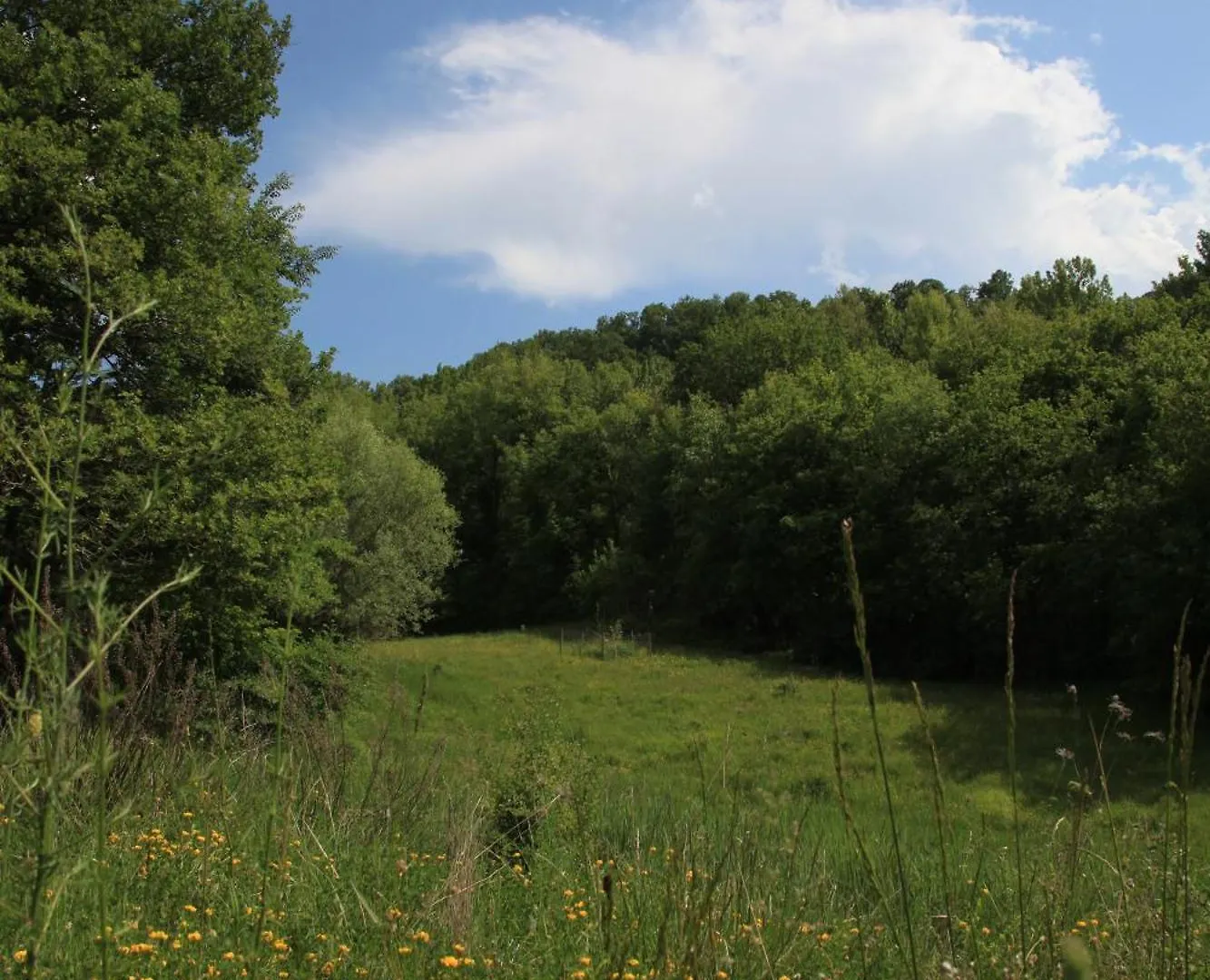 Wild Toscana Eco Villa Arcidosso 0*,